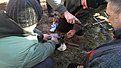 Натиснете снимката за да я уголемите

Име:IMAG3173.jpg
Прегледи:760
Размер:185.4 КБ
ID:5548446
