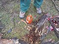 Натиснете снимката за да я уголемите

Име:20131230_161445.jpg
Прегледи:388
Размер:233.9 КБ
ID:5549859