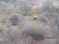Натиснете снимката за да я уголемите

Име:IMG_7349.jpg
Прегледи:661
Размер:212.9 КБ
ID:5551543
