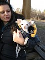 Натиснете снимката за да я уголемите

Име:IMG_1150.jpg
Прегледи:697
Размер:67.7 КБ
ID:5554122