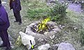 Натиснете снимката за да я уголемите

Име:IMG_20140118_122654.jpg
Прегледи:761
Размер:195.3 КБ
ID:5555123
