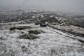 Натиснете снимката за да я уголемите

Име:IMG_2714.jpg
Прегледи:505
Размер:172.7 КБ
ID:5557999