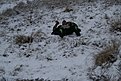 Натиснете снимката за да я уголемите

Име:IMG_2786.jpg
Прегледи:487
Размер:149.9 КБ
ID:5558043