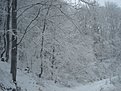 Натиснете снимката за да я уголемите

Име:DSC04265.jpg
Прегледи:633
Размер:190.6 КБ
ID:5558754