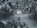 Натиснете снимката за да я уголемите

Име:DSC04269.jpg
Прегледи:620
Размер:168.6 КБ
ID:5558756