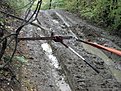 Натиснете снимката за да я уголемите

Име:DSC05962.jpg
Прегледи:524
Размер:234.1 КБ
ID:5563599