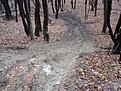 Натиснете снимката за да я уголемите

Име:DSC04380.jpg
Прегледи:703
Размер:272.1 КБ
ID:5566980