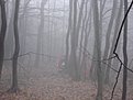 Натиснете снимката за да я уголемите

Име:DSC04358.jpg
Прегледи:684
Размер:87.5 КБ
ID:5566997