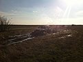 Натиснете снимката за да я уголемите

Име:IMG_2709.jpg
Прегледи:575
Размер:111.9 КБ
ID:5571467
