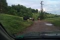 Натиснете снимката за да я уголемите

Име:IMAG1180.jpg
Прегледи:612
Размер:114.6 КБ
ID:5595024