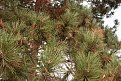 Натиснете снимката за да я уголемите

Име:IMG_4637.jpg
Прегледи:300
Размер:292.2 КБ
ID:5626102
