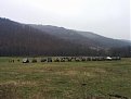 Натиснете снимката за да я уголемите

Име:IMG_20141129_152523.jpg
Прегледи:299
Размер:113.9 КБ
ID:5626364