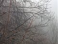 Натиснете снимката за да я уголемите

Име:IMG_20141130_120358.jpg
Прегледи:279
Размер:192.1 КБ
ID:5626393