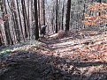 Натиснете снимката за да я уголемите

Име:IMG_1394.jpg
Прегледи:218
Размер:283.7 КБ
ID:5628815