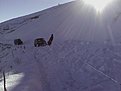 Натиснете снимката за да я уголемите

Име:IMG_20141213_142153.jpg
Прегледи:741
Размер:83.4 КБ
ID:5628964