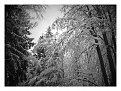 Натиснете снимката за да я уголемите

Име:20141228_130817-EFFECTS.jpg
Прегледи:462
Размер:57.1 КБ
ID:5632036