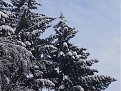 Натиснете снимката за да я уголемите

Име:20141228_124435.jpg
Прегледи:449
Размер:151.6 КБ
ID:5632037