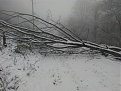 Натиснете снимката за да я уголемите

Име:10885075_1527733560814643_7643798271342829975_n.jpg
Прегледи:373
Размер:94.1 КБ
ID:5632285