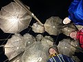 Натиснете снимката за да я уголемите

Име:uploadfromtaptalk1421986959987.jpg
Прегледи:95
Размер:183.2 КБ
ID:5636891