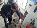Натиснете снимката за да я уголемите

Име:DSC_0052.jpg
Прегледи:475
Размер:112.4 КБ
ID:5637159