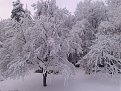 Натиснете снимката за да я уголемите

Име:uploadfromtaptalk1423291525192.jpg
Прегледи:115
Размер:212.1 КБ
ID:5640491