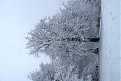 Натиснете снимката за да я уголемите

Име:IMG_9577.jpg
Прегледи:237
Размер:152.4 КБ
ID:5641212