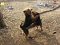 Натиснете снимката за да я уголемите

Име:IMG_9815.jpg
Прегледи:198
Размер:249.0 КБ
ID:5644514
