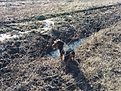 Натиснете снимката за да я уголемите

Име:IMG_20150222_101257.jpg
Прегледи:196
Размер:358.0 КБ
ID:5644529