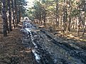 Натиснете снимката за да я уголемите

Име:IMG_20150222_112143.jpg
Прегледи:199
Размер:304.9 КБ
ID:5644572