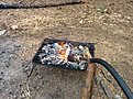Натиснете снимката за да я уголемите

Име:IMG_20150222_134142.jpg
Прегледи:323
Размер:321.1 КБ
ID:5644610