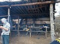 Натиснете снимката за да я уголемите

Име:IMG_20150222_135134.jpg
Прегледи:320
Размер:185.5 КБ
ID:5644615