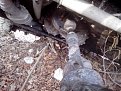 Натиснете снимката за да я уголемите

Име:IMG_20150221_154847.jpg
Прегледи:1026
Размер:157.7 КБ
ID:5644656