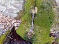 Натиснете снимката за да я уголемите

Име:IMG_20150221_160505.jpg
Прегледи:1020
Размер:202.1 КБ
ID:5644658