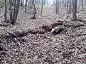 Натиснете снимката за да я уголемите

Име:IMG_20150221_160738.jpg
Прегледи:1028
Размер:315.7 КБ
ID:5644659