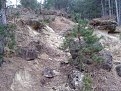 Натиснете снимката за да я уголемите

Име:IMG_20150222_132714.jpg
Прегледи:1014
Размер:241.3 КБ
ID:5644667