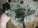 Натиснете снимката за да я уголемите

Име:20150227_093543.jpg
Прегледи:380
Размер:142.2 КБ
ID:5645223