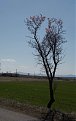 Натиснете снимката за да я уголемите

Име:DSC01508.jpg
Прегледи:374
Размер:61.8 КБ
ID:5646384