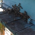 Натиснете снимката за да я уголемите

Име:image.jpg
Прегледи:273
Размер:96.2 КБ
ID:5653593