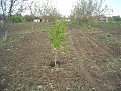 Натиснете снимката за да я уголемите

Име:DSCN0666.jpg
Прегледи:1306
Размер:281.2 КБ
ID:5656939