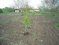 Натиснете снимката за да я уголемите

Име:DSCN0668.jpg
Прегледи:1279
Размер:278.2 КБ
ID:5656941