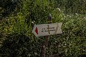 Натиснете снимката за да я уголемите

Име:IMG_2776-11.jpg
Прегледи:369
Размер:304.5 КБ
ID:5657371