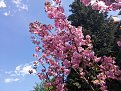 Натиснете снимката за да я уголемите

Име:20150501_152557.jpg
Прегледи:272
Размер:227.6 КБ
ID:5657769