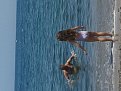 Натиснете снимката за да я уголемите

Име:20150523_134147.jpg
Прегледи:378
Размер:104.0 КБ
ID:5661972