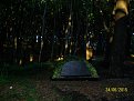 Натиснете снимката за да я уголемите

Име:Еньовден 018.jpg
Прегледи:501
Размер:140.6 КБ
ID:5668917