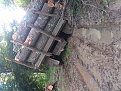Натиснете снимката за да я уголемите

Име:DSC_2161.jpg
Прегледи:770
Размер:222.3 КБ
ID:5671220