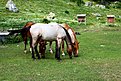 Натиснете снимката за да я уголемите

Име:IMG_6161.jpg
Прегледи:347
Размер:262.1 КБ
ID:5672859