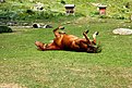 Натиснете снимката за да я уголемите

Име:IMG_6164.jpg
Прегледи:346
Размер:296.8 КБ
ID:5672861