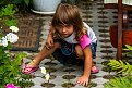 Натиснете снимката за да я уголемите

Име:IMG_5497-11-2.jpg
Прегледи:274
Размер:204.6 КБ
ID:5678787