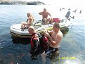 Натиснете снимката за да я уголемите

Име:P1030237.jpg
Прегледи:688
Размер:137.0 КБ
ID:5679679