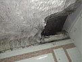 Натиснете снимката за да я уголемите

Име:IMGP5367.jpg
Прегледи:939
Размер:112.7 КБ
ID:5682294